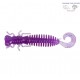 LARVA LIBELULA DT2001-01