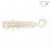 LARVA LIBELULA DT2001-04