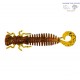 LARVA LIBELULA DT2001-03
