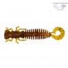 LARVA LIBELULA DT2001-03