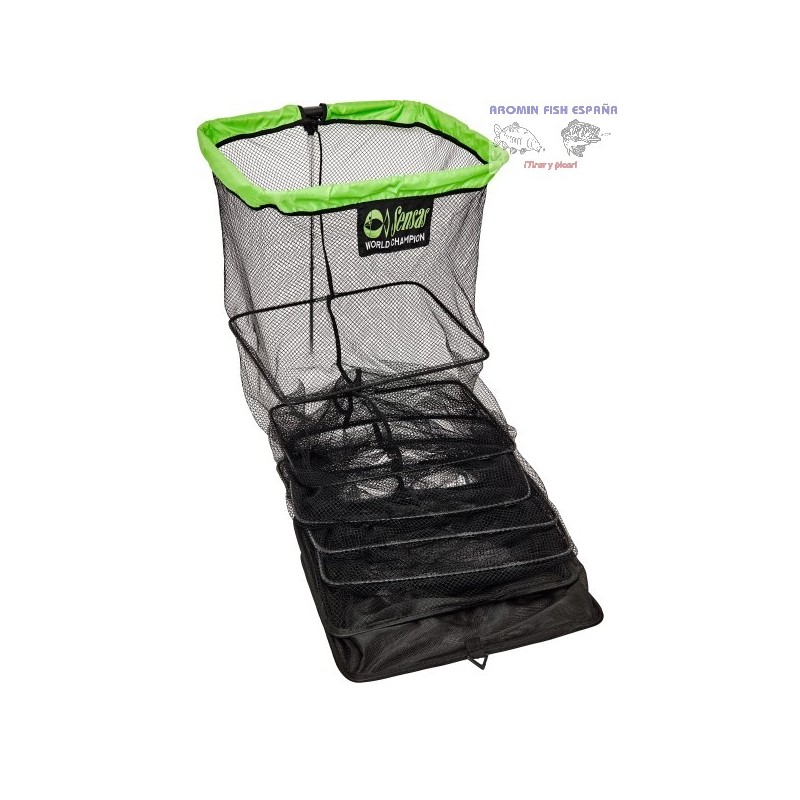 BOURRICHE GLOUCESTER 2M