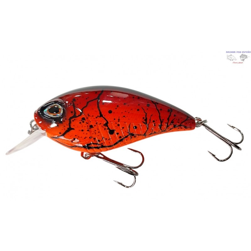 JINZA FORAJIDO 11G-1