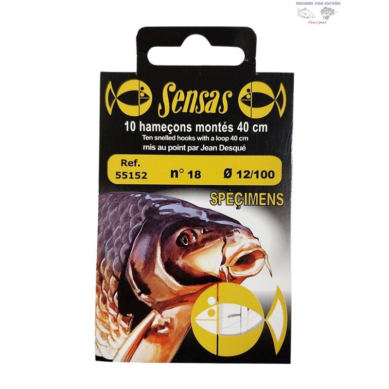 ANZ.MONT.SPECIMENS N18