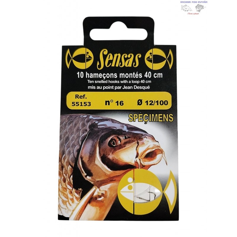 ANZ.MONT.SPECIMENS N16