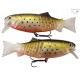 SWIMBAIT 662-G13 11,5cmTROUT