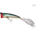 POPPER SPLASH NW - 7