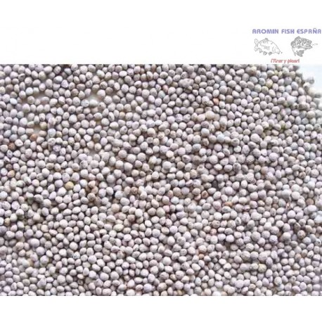 PERILLA BLANCA 500 GR