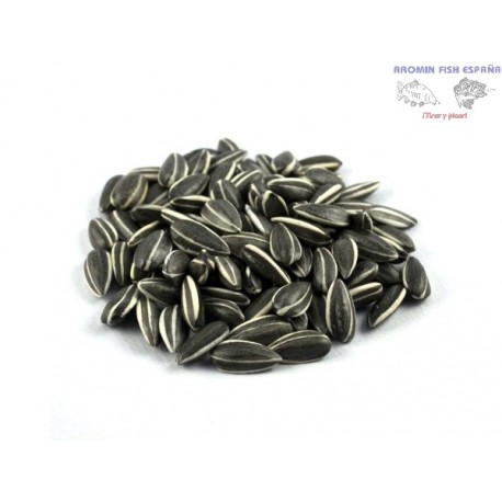 PIPAS GIRASOL GRANDE