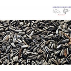 PIPAS GIRASOL PEQUEÑA