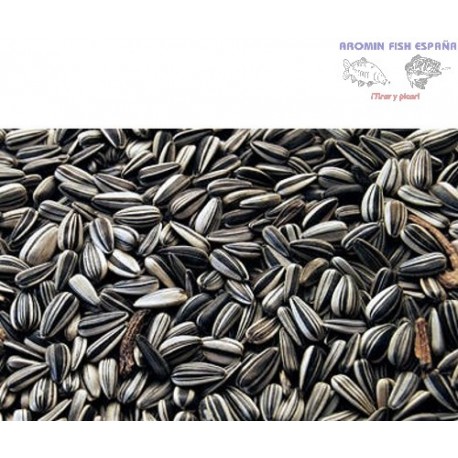 PIPAS GIRASOL PEQUEÑA