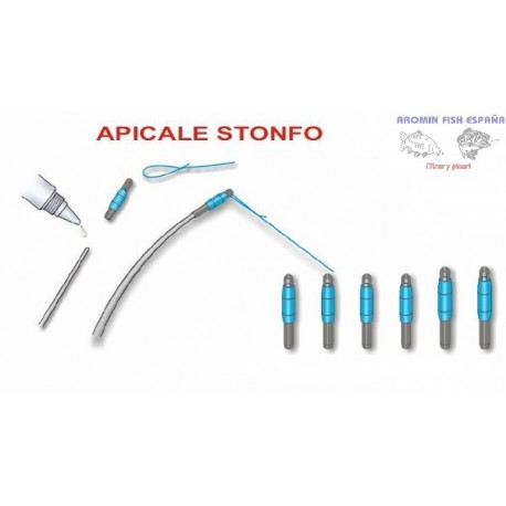 APICALE STONFO