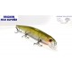 MINNOW SHADOW R- A SLOW SINKING 