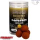 Boilies Probiotic Scopex Krill HARD BOILIES 20mm